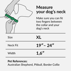CollarDirect Martingale con herrajes pesados: duradero para entrenamiento exterior