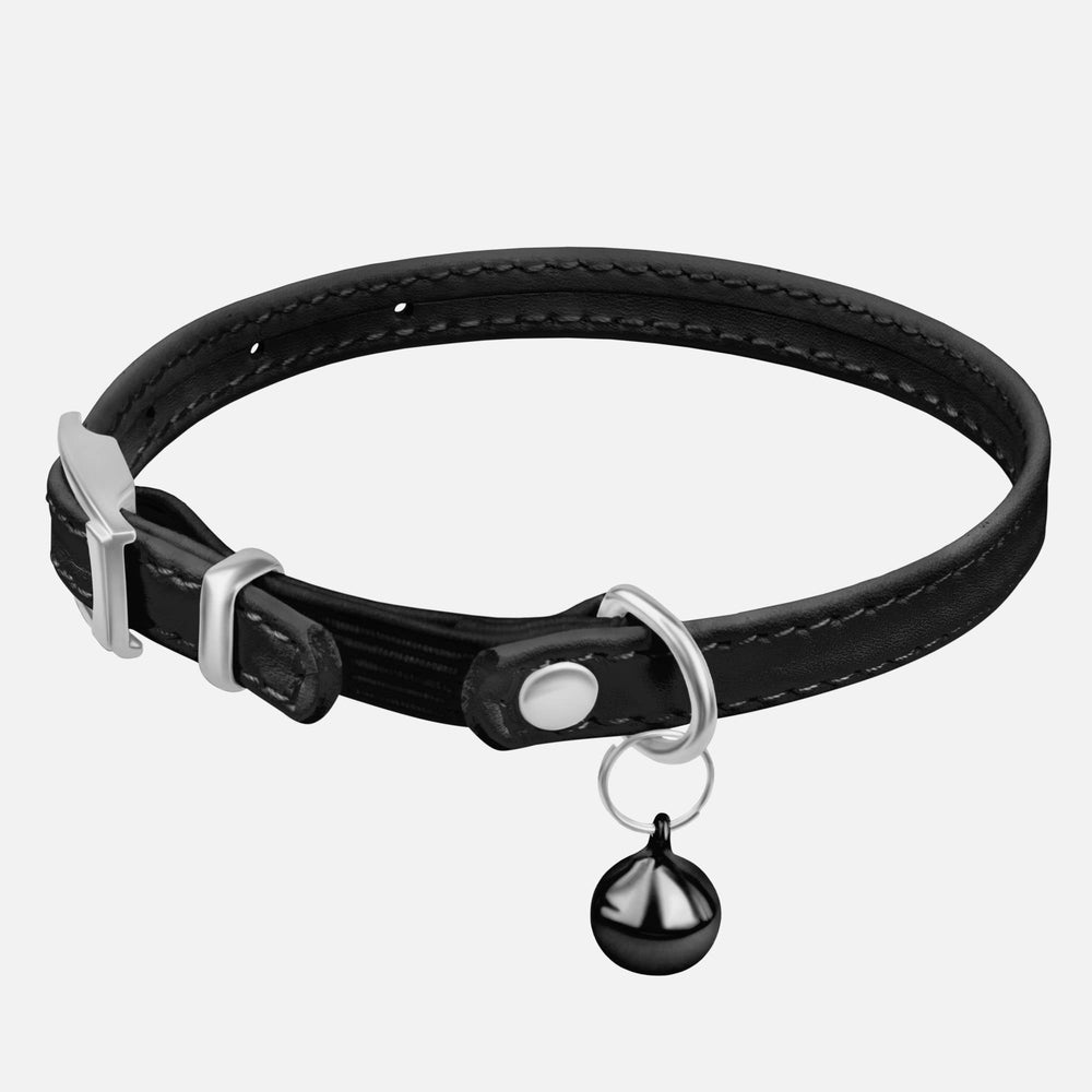 CollarDirect matching leather leash complements the cat collar for outings.