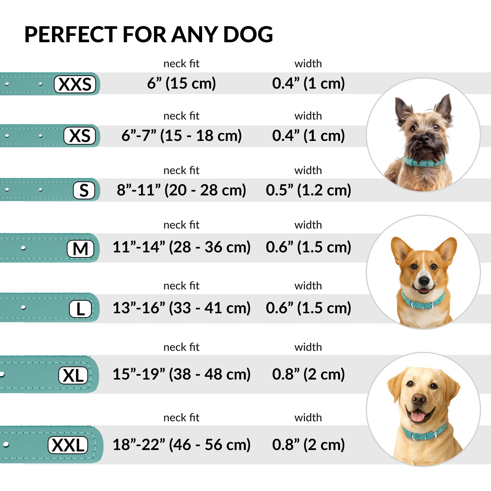 CollarDirect: perro grande con collar enrollado, duradero para aventuras al aire libre.