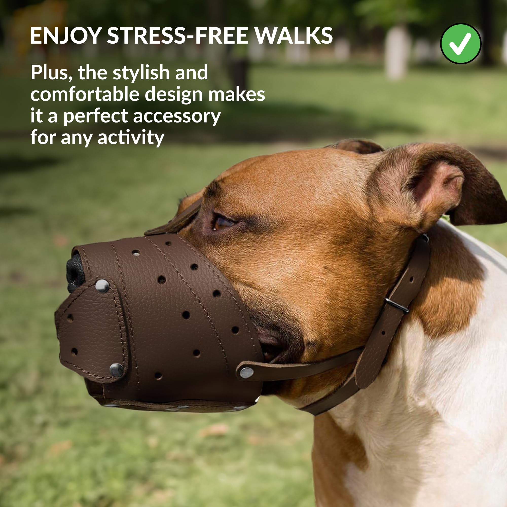CollarDirect uso diario: ideal para paseos y entrenamiento.