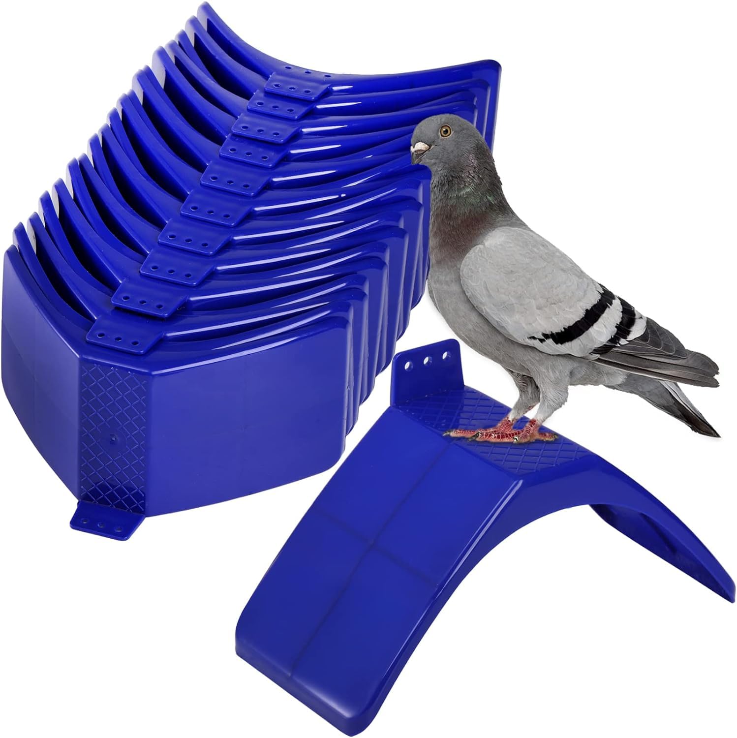 Coloch descansa-palomas: soporte cómodo para descanso en jaula.