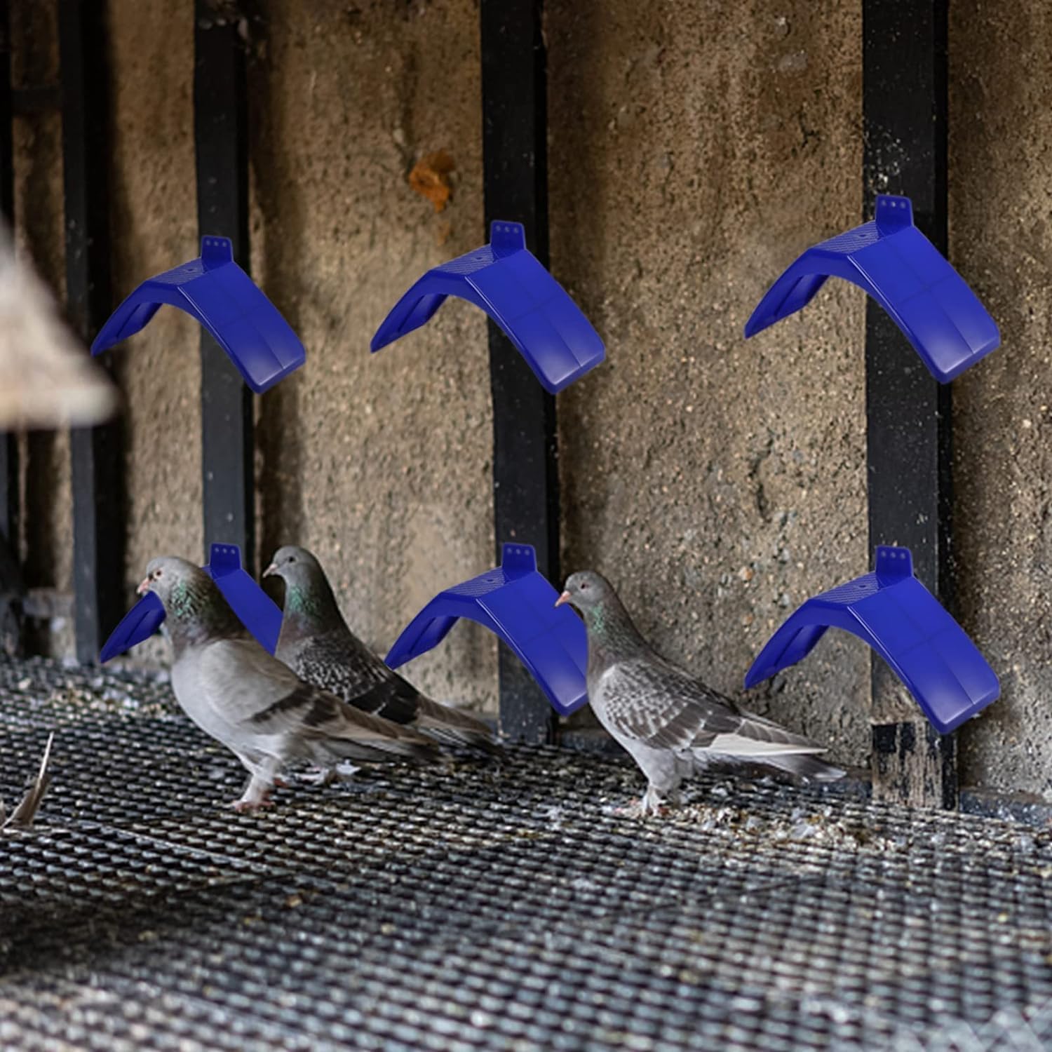 Coloch uso-amplio: ideal para palomas, loros y otras aves.