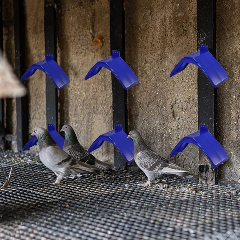 Coloch uso-amplio: ideal para palomas, loros y otras aves.