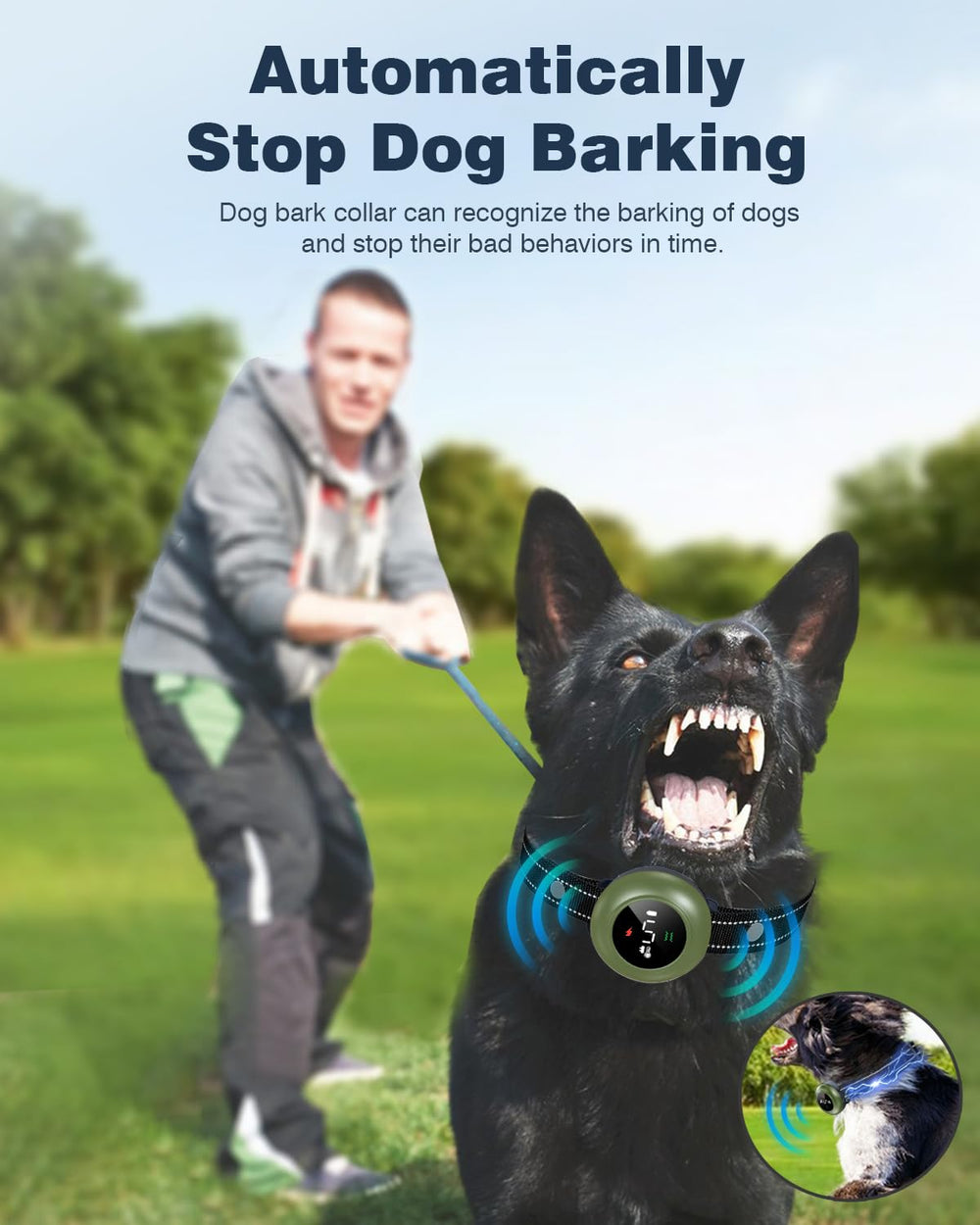 Ajuste Colofrog para todas las razas, apto para perros grandes y pequeños.