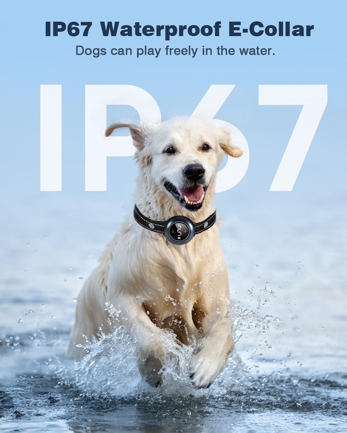 Colofrog collar impermeable IP67 para cualquier clima