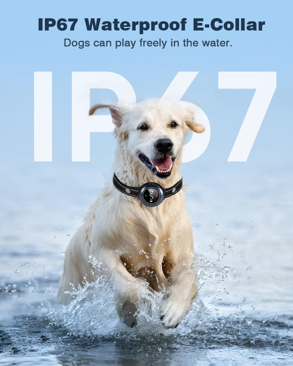 Colofrog collar impermeable IP67 para cualquier clima