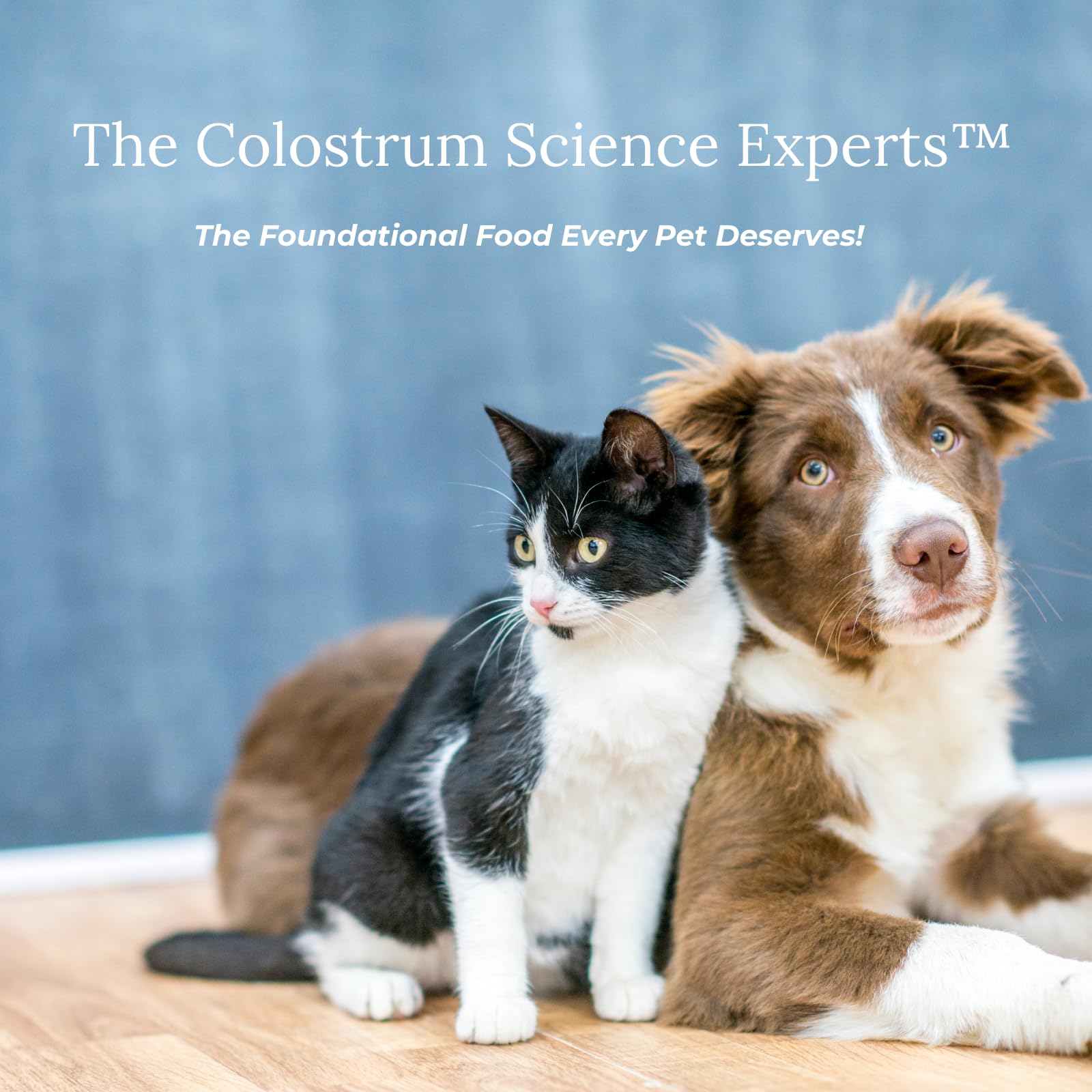 Colostrum-LD: envase miniatura, uso cómodo en casa para mascotas.