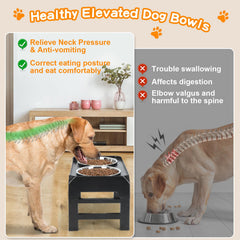 COMESOON base ajustable, diseño ergonómico para diferentes tamaños de perros