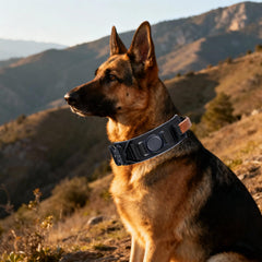 Collar AirTag Comfluxe con cinta reflectante para mayor visibilidad nocturna.