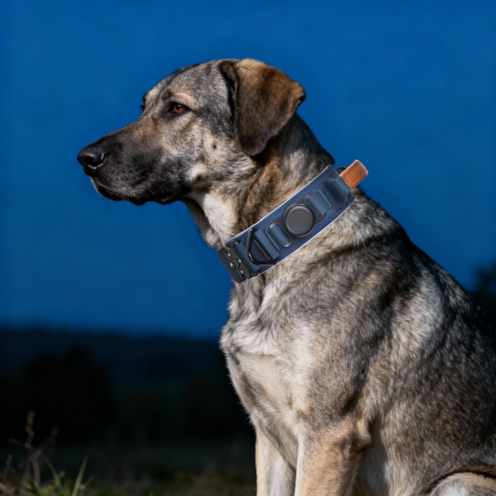 Collar Comfluxe con cintas reflectivas y mango de control para entrenamiento.