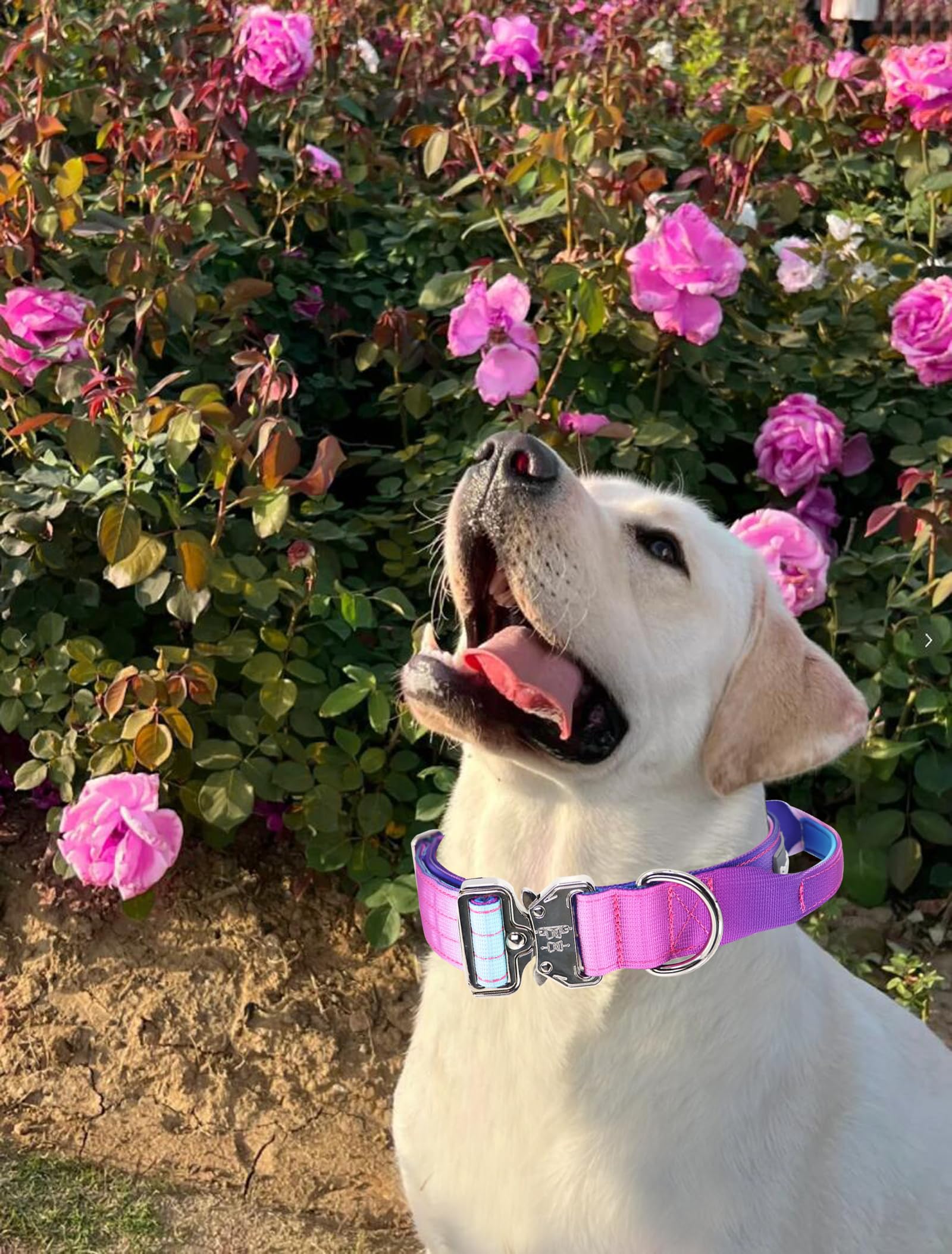 Collar degradado vibrante Comfluxe, destaca en actividades al aire libre.