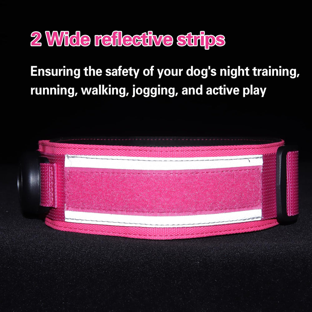 Collar Comfluxe con cintas reflectantes para visibilidad nocturna.