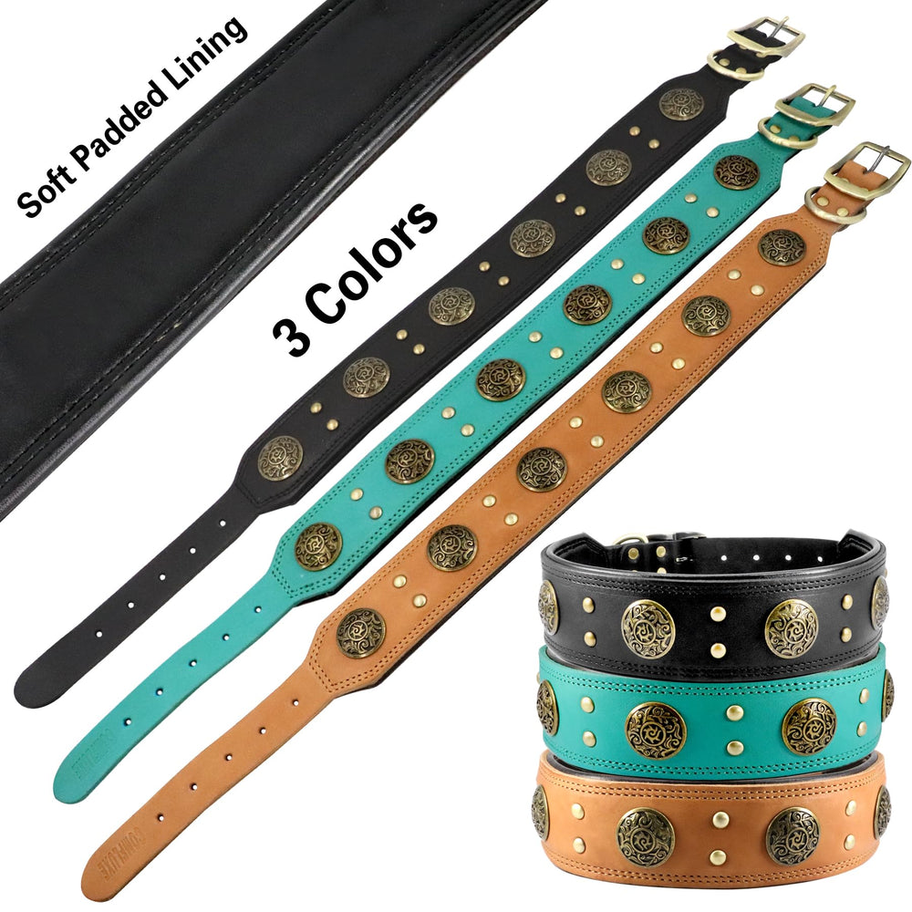 Collar ajustable 17-21 pulgadas para razas medianas.