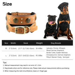 Collar con pinchos decorativos de Comfluxe, diseño elegante.