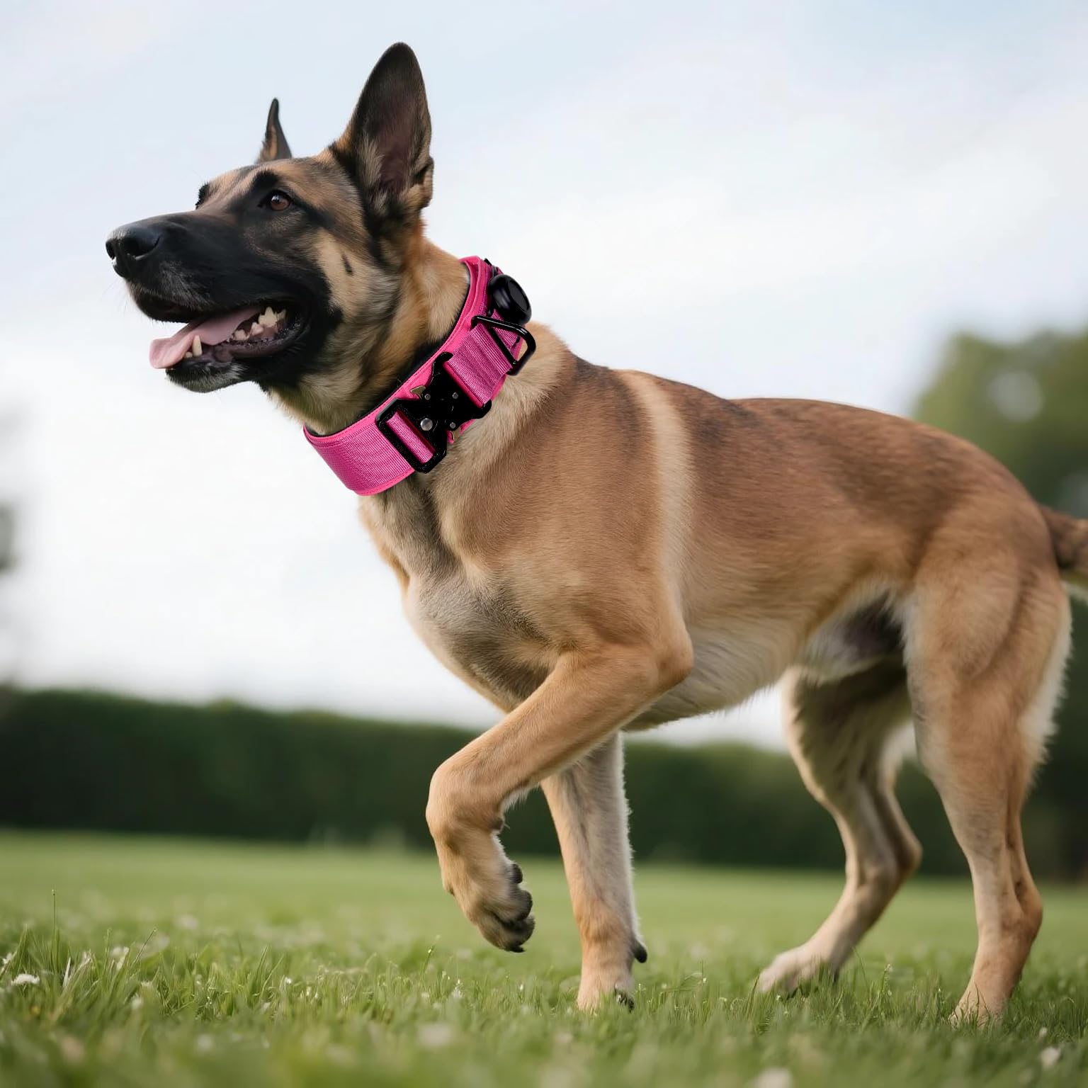 Collar Comfluxe con parches incluidos para personalización.