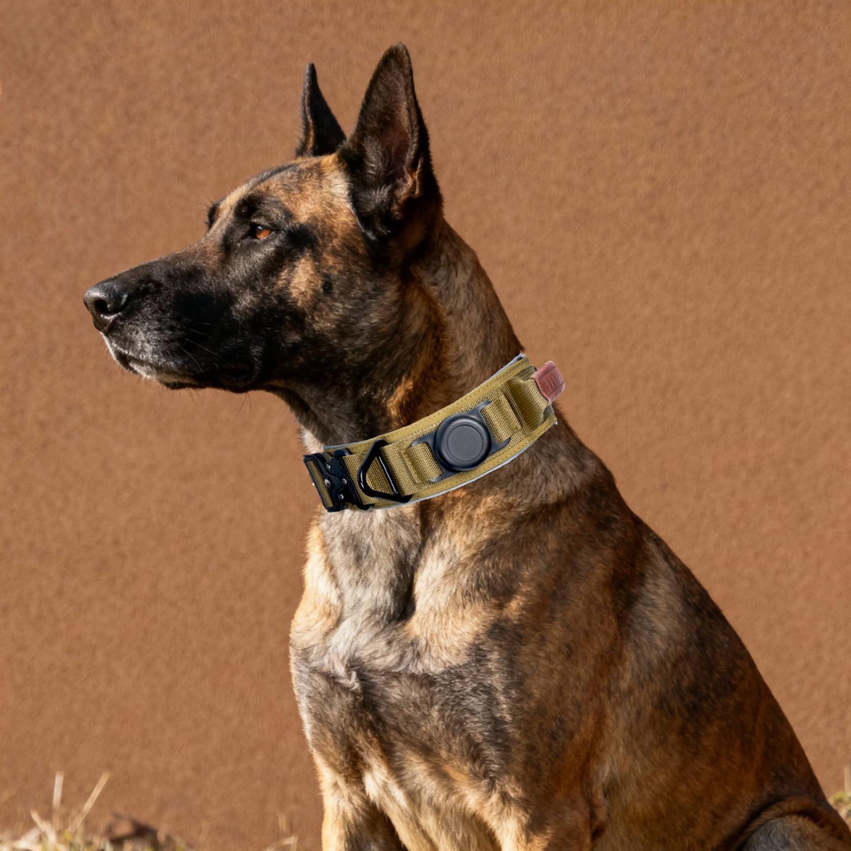 Collar Comfluxe con cinta reflectante para mayor visibilidad nocturna