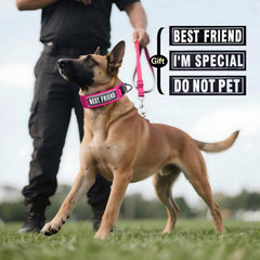 Collar táctico de 2 pulgadas para perros activos.