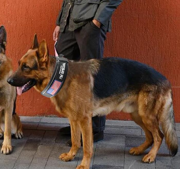 Collar táctico Comfluxe para perros grandes durante actividades al aire libre.