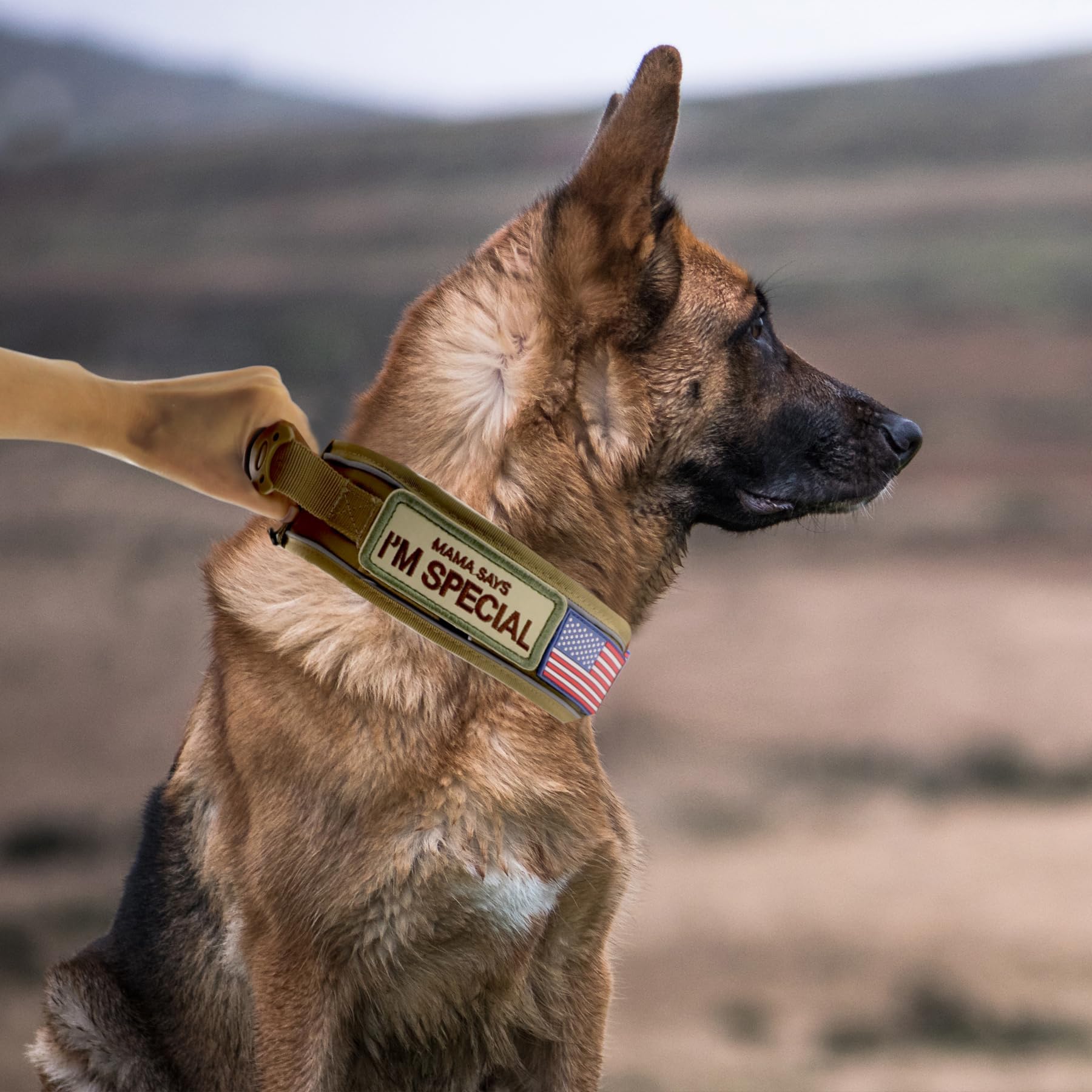 Collar Comfluxe con hebilla metálica de liberación rápida para uso sencillo.