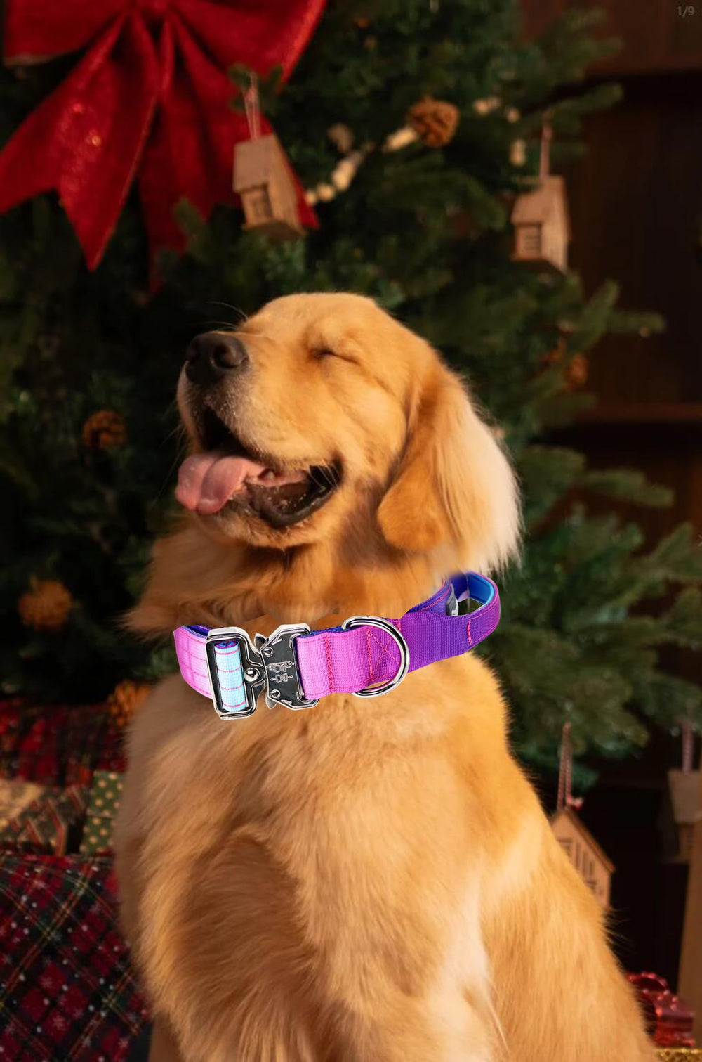 Collar táctico Comfluxe para perros grandes, resistente y cómodo.