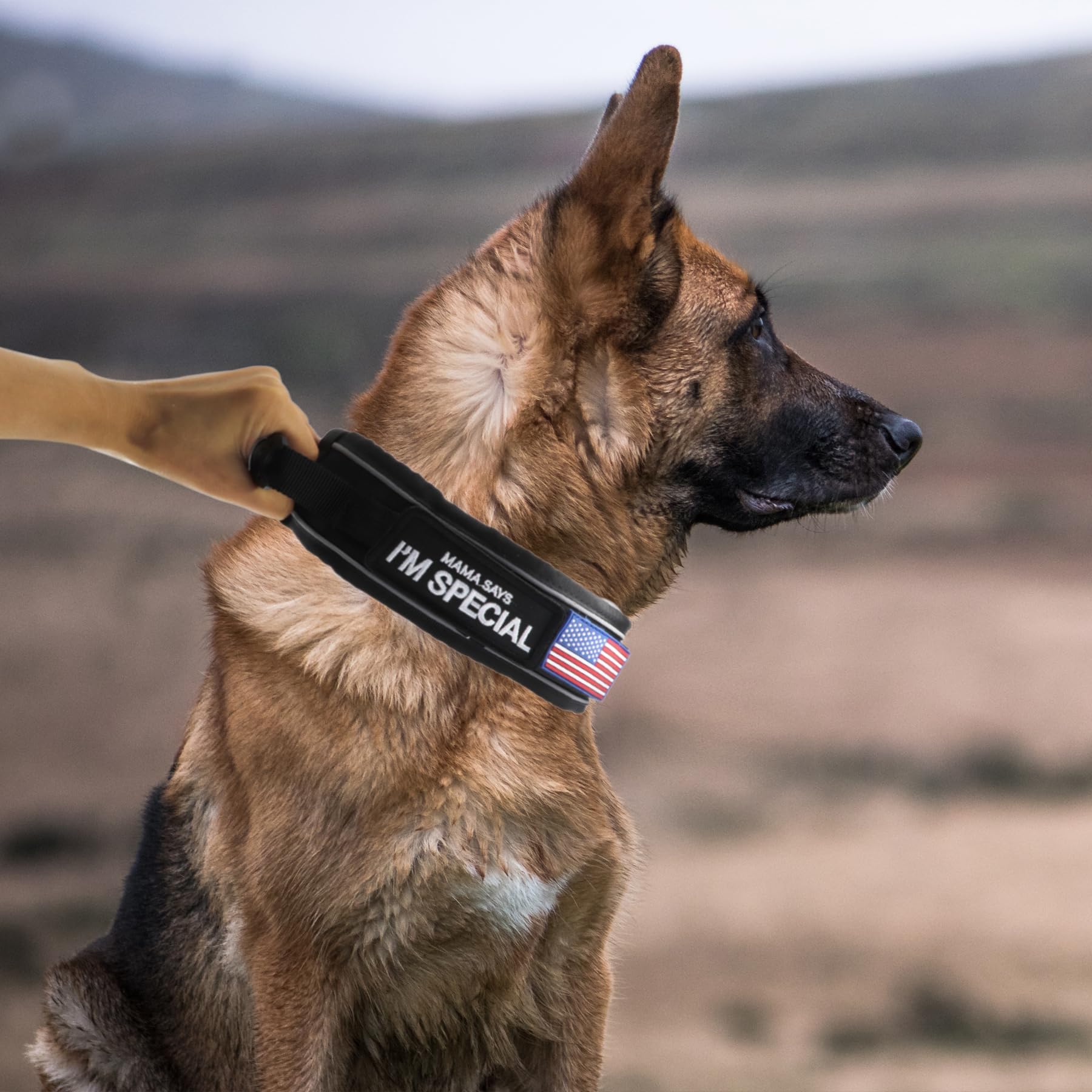 Collar con cierre metálico rápido para colocación fácil.