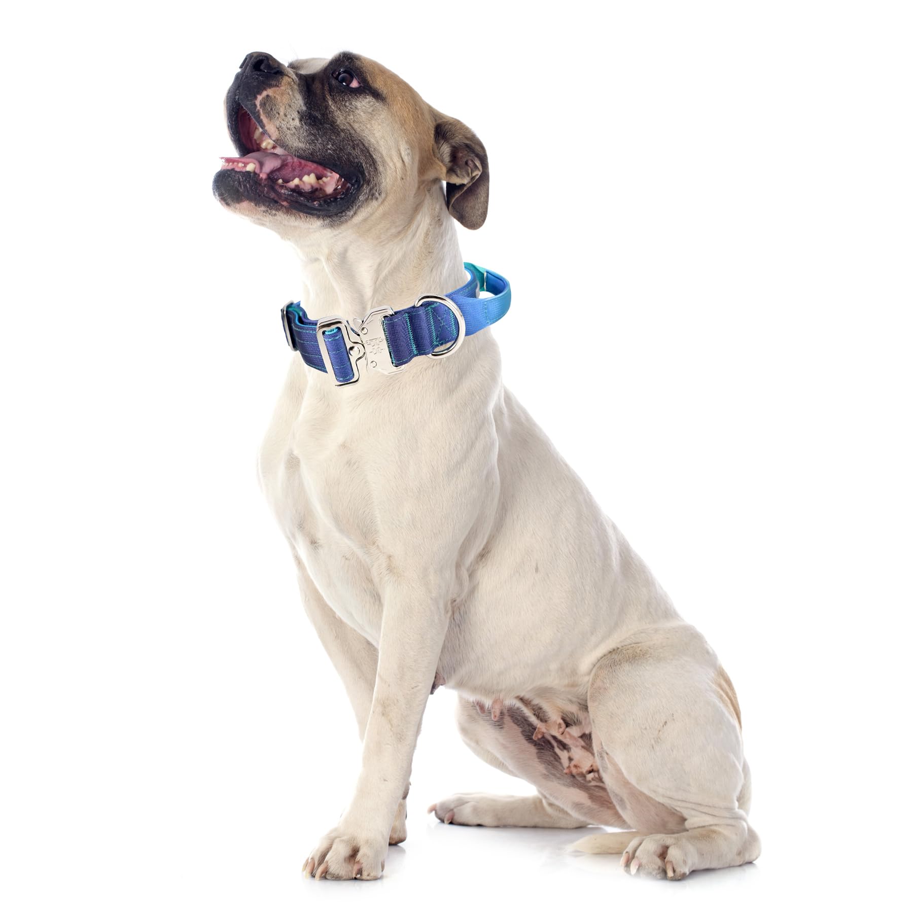 Collar táctico azul Comfluxe, cómodo y versátil para manejo diario y entrenamiento.