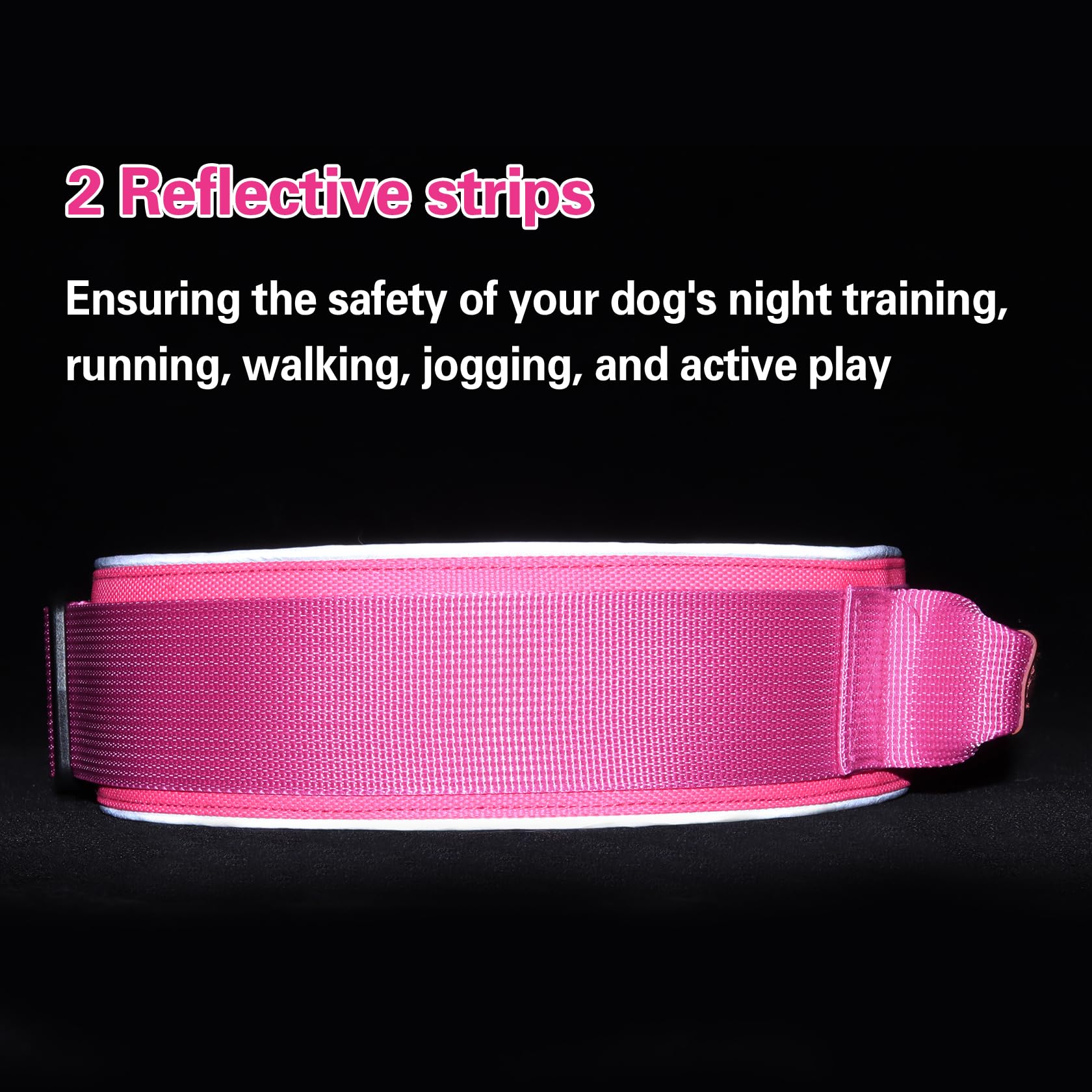 Talla M del collar Comfluxe para perros medianos, ajuste cómodo.