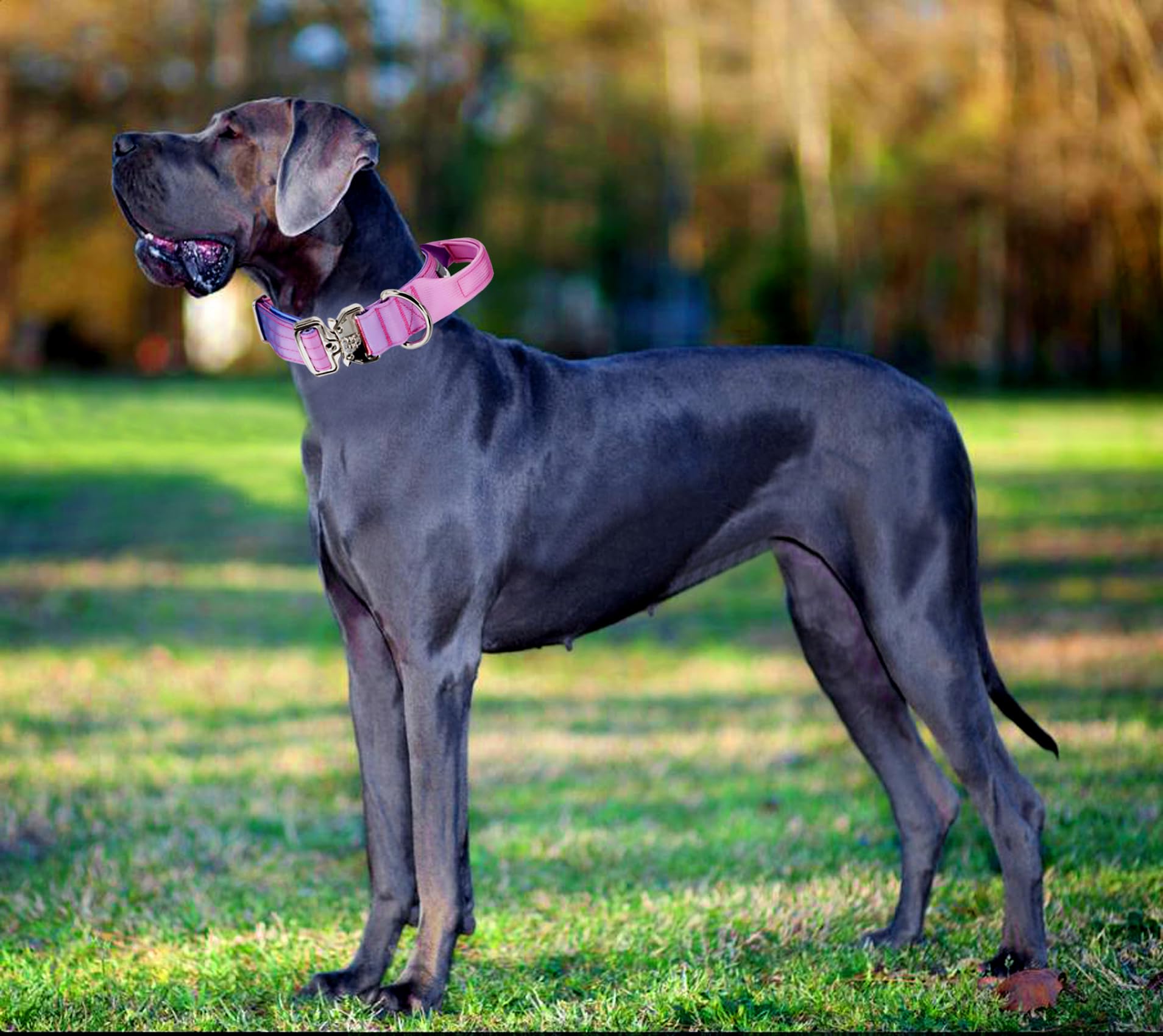 Revestimiento de neopreno en collar Comfluxe para protección de la piel