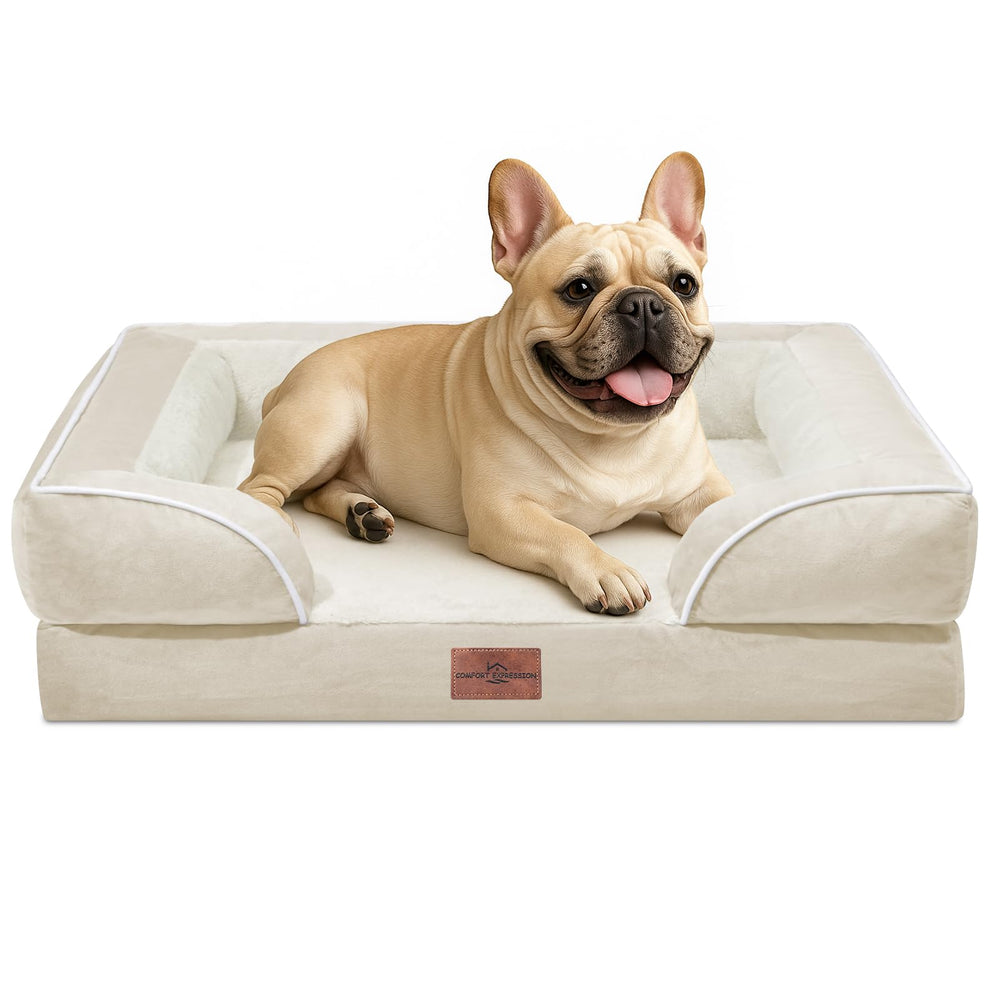 Comfort Expression cama ortopédica para perros medianos, vista general con soporte cómodo