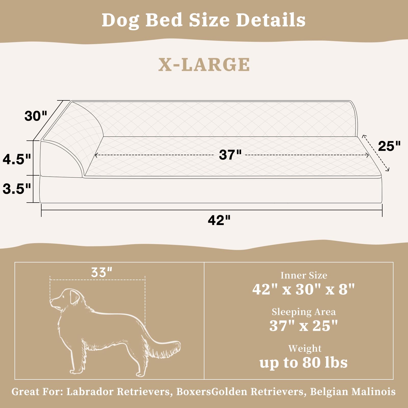 Dimensiones de 42x30x8 pulgadas de Comfort Expression XL para perros grandes.