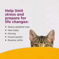 Recarga para difusor de gato Comfort Zone, favorece conductas calmadas en casa.