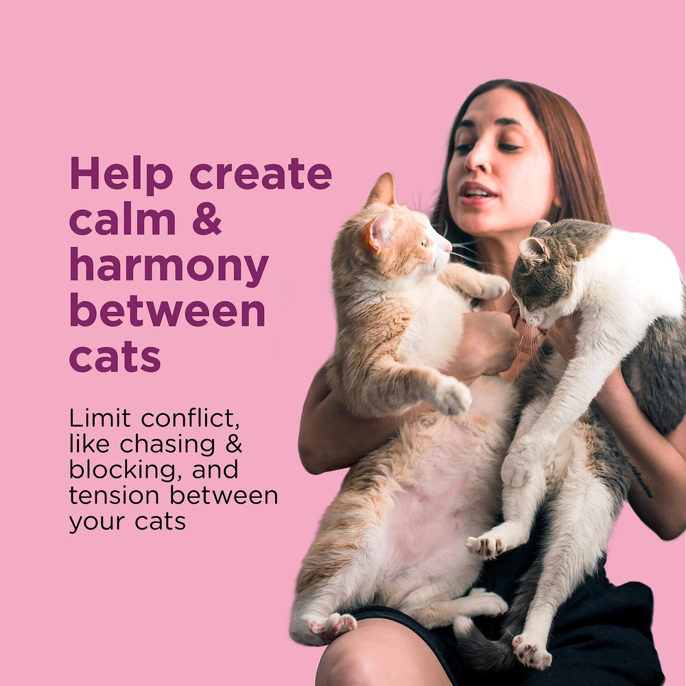 Recambio Calma Multicat de Comfort Zone para mantener la tranquilidad en casa.