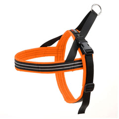 ComfortFlex arnés para perro sin estrangulación, comodidad en paseos.