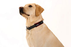 Acolchado completo en ComfortFlex, protege el cuello durante entrenamientos suaves y diarios