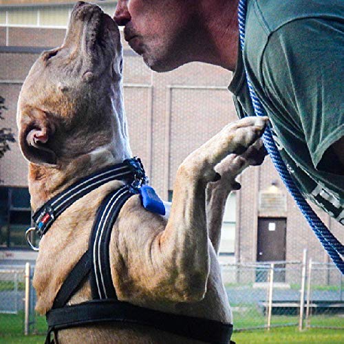 Ajuste amplio de ComfortFlex, ideal para perros en crecimiento o entre tallas