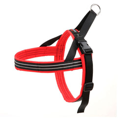 Arnés ComfortFlex Sport con ajuste seguro para paseos diarios.