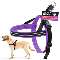Arnés ComfortFlex Sport con dimensionamiento correcto para ajuste seguro en paseos