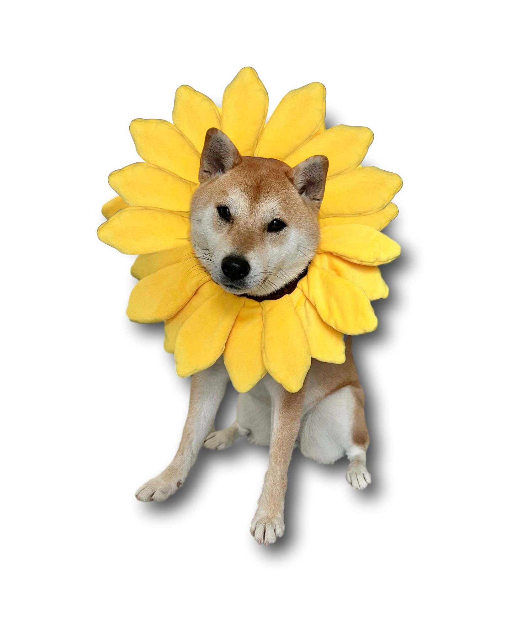 Accesorio de girasol para mascotas de ComfyCamper, ideal para fotos y fiestas.