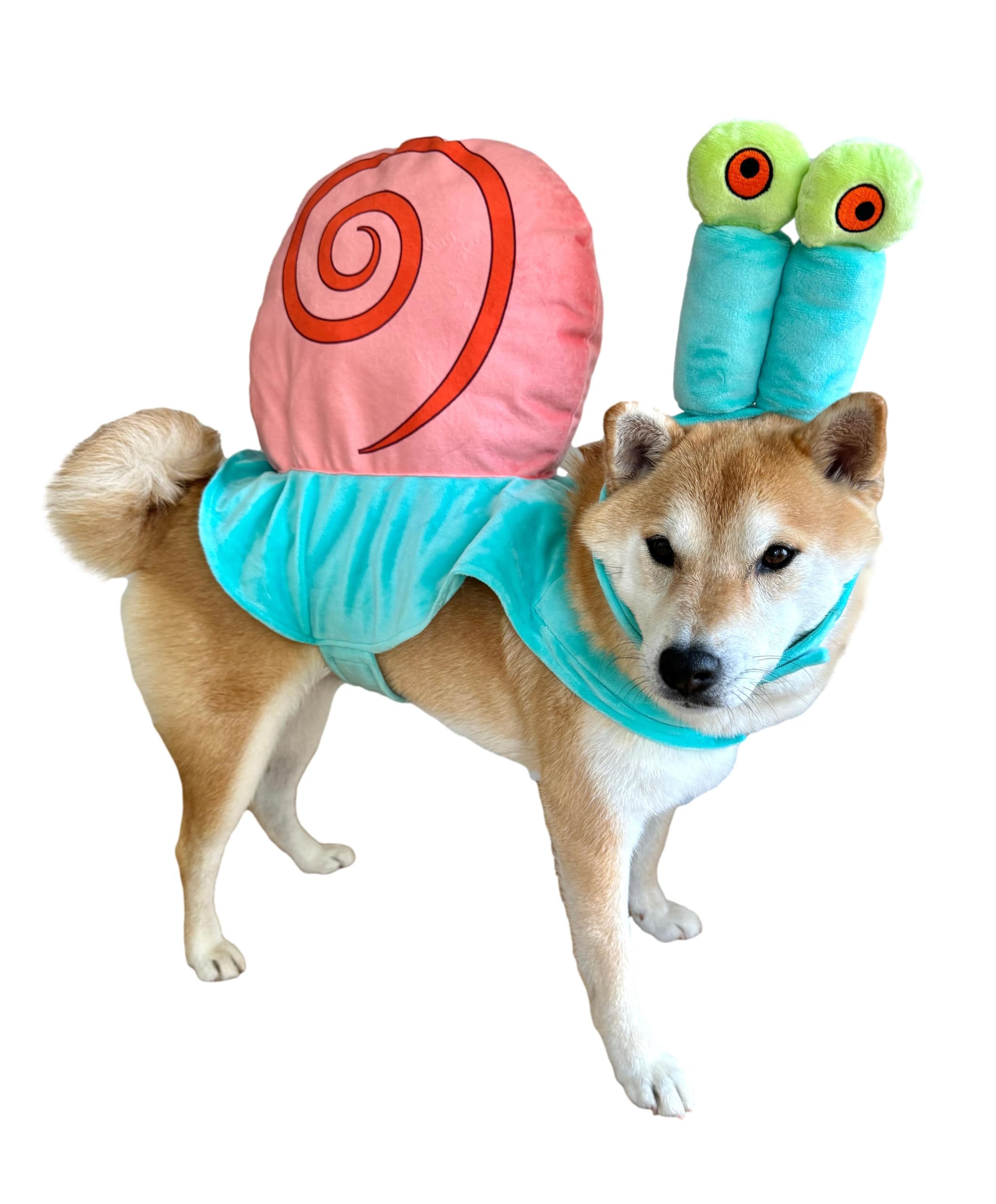 Disfraz de caracol marina para perros de ComfyCamper, ideal para fiestas temáticas y sesiones de fotos.