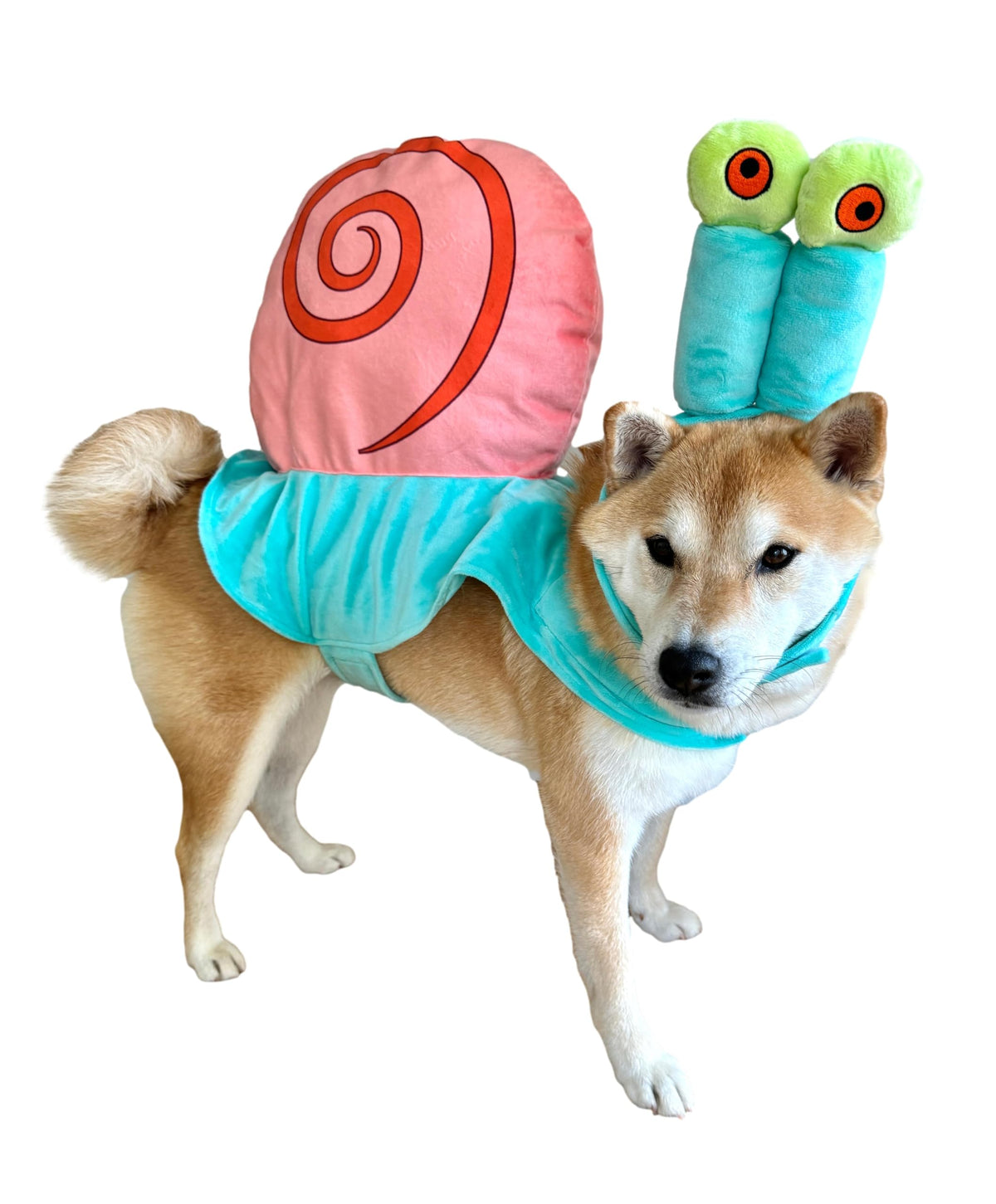 Disfraz de caracol marina para perros de ComfyCamper, ideal para fiestas temáticas y sesiones de fotos.