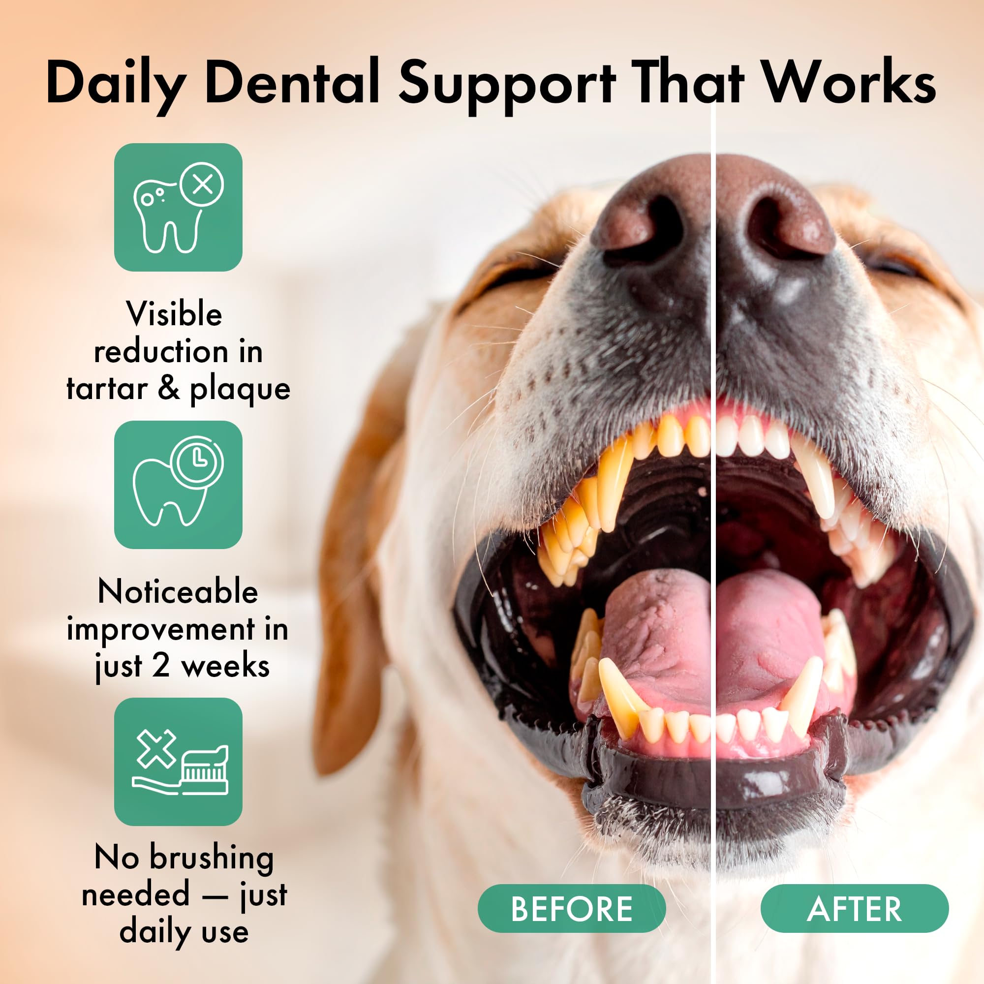 Commanding Life polvo dental para perros, sabor pato que anima a comer.