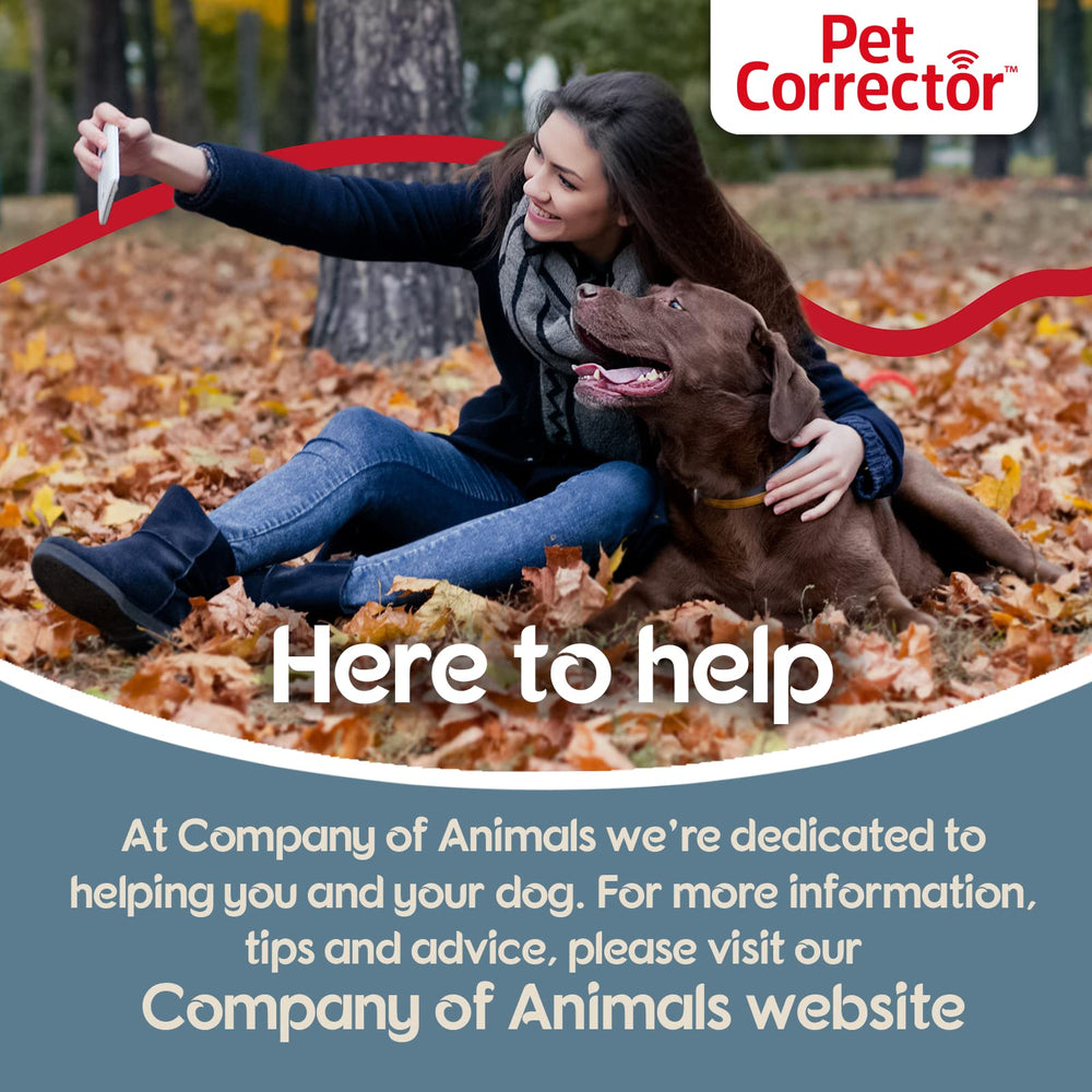 Diseño compacto y fácil de usar de Pet Corrector.