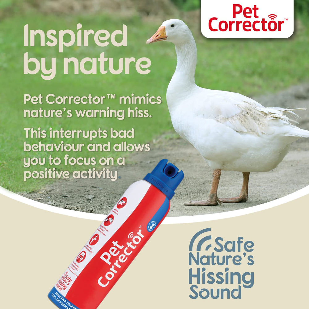 Paquete de 4 botellas Pet Corrector para uso diario en casa.