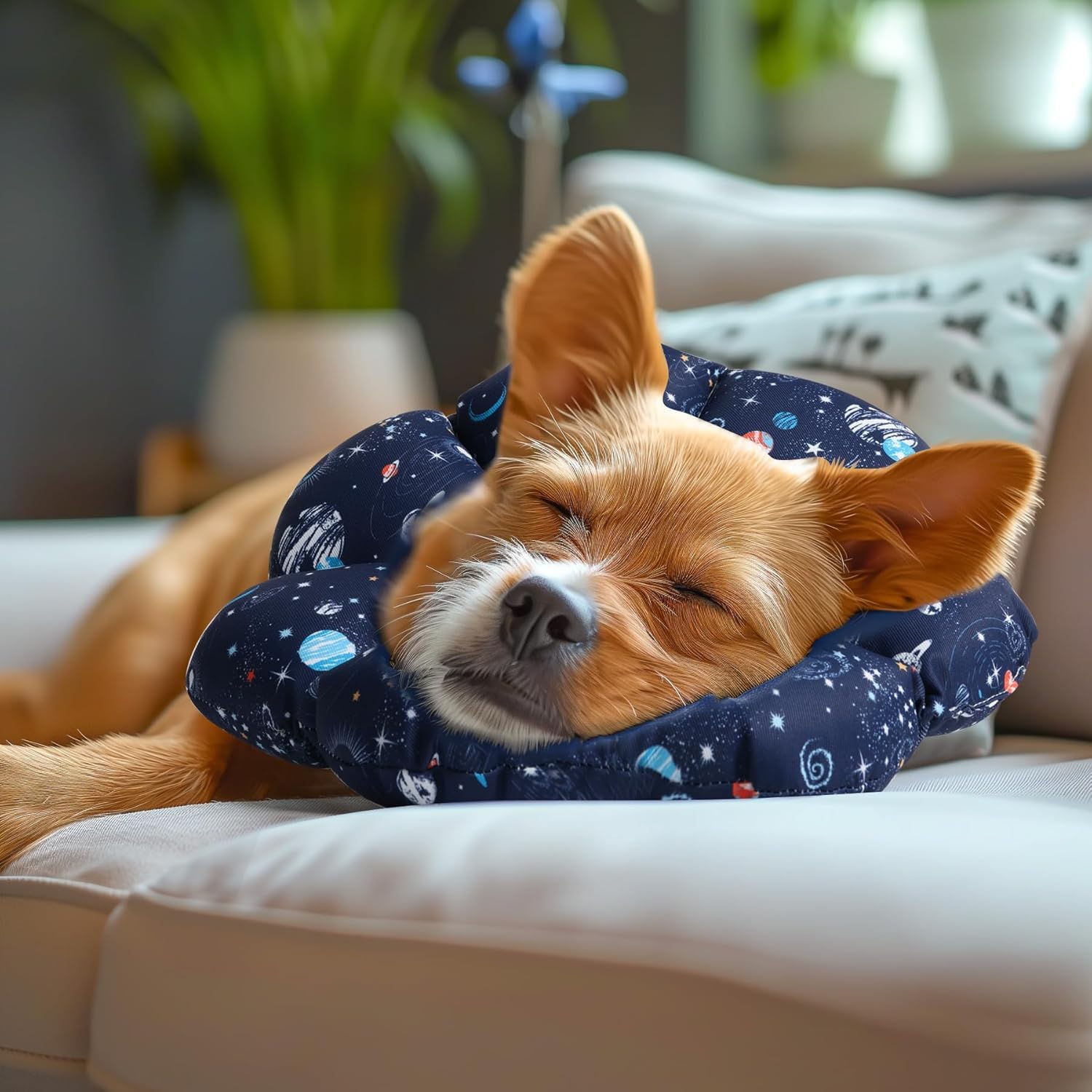 Collar cono con patrón galaxia ComSaf para mascotas, cómodo