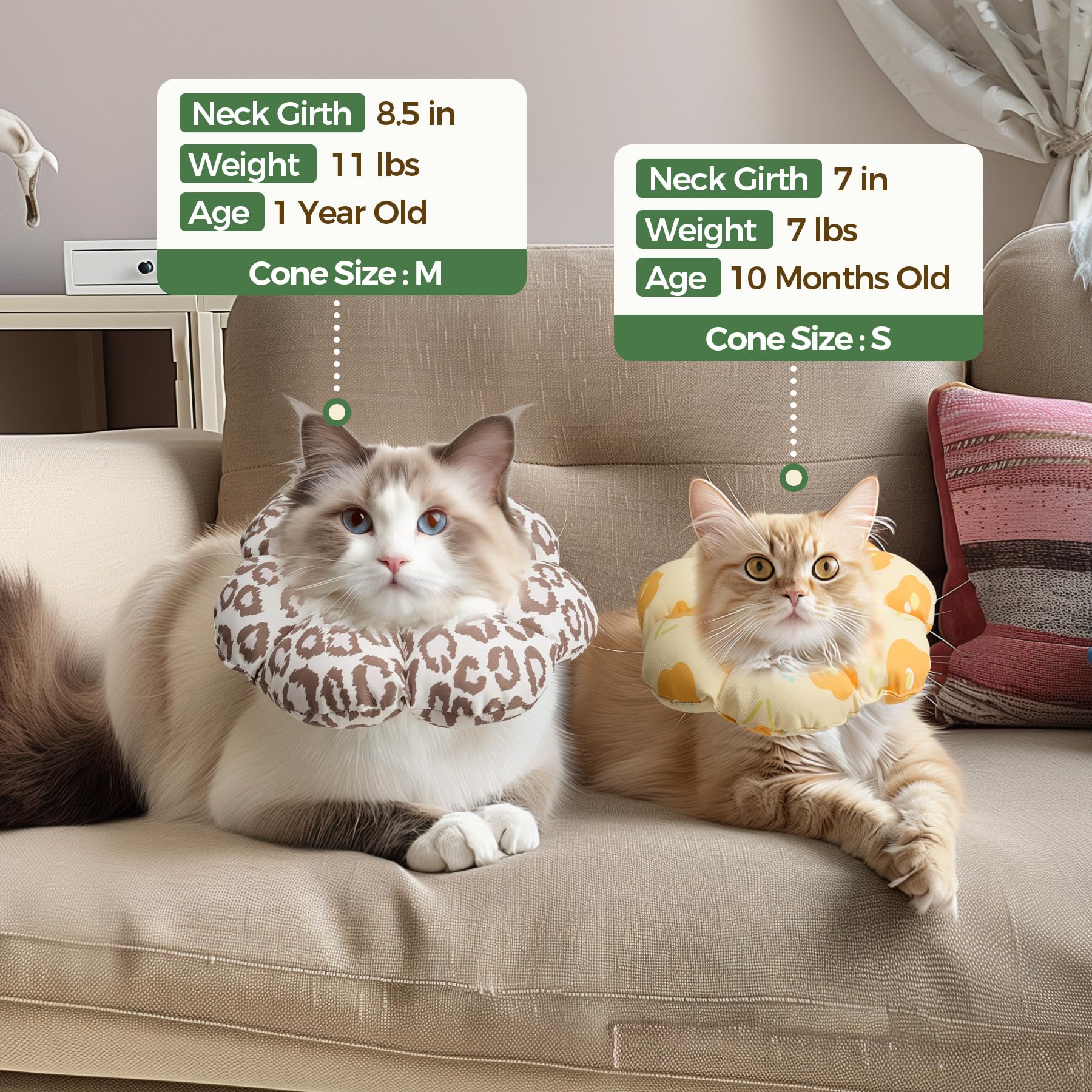 Cono de uso diario para gatos medianos ComSaf, talla M.
