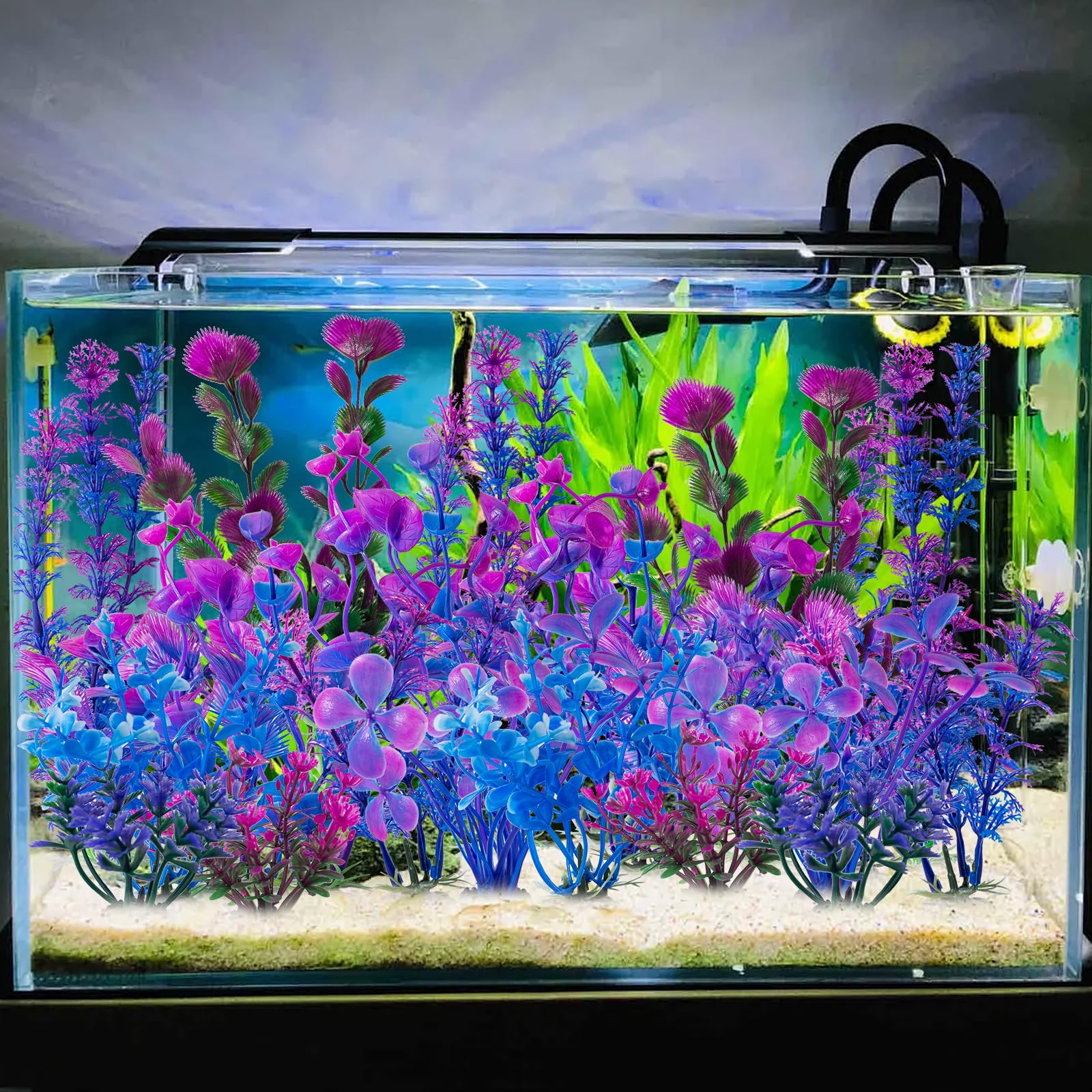 COMSUN ambiente relajante para acuario gracias a las plantas moradas.