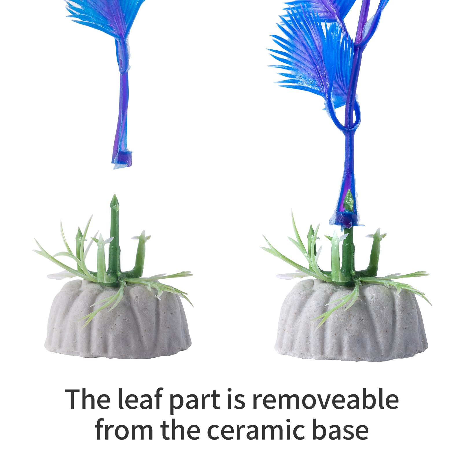 COMSUN pack de plantas para acuario, conjunto compacto y distribuible fácilmente.