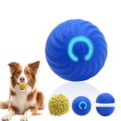 CONAMEI bola interactiva para perros con rebote automático y juego prolongado.