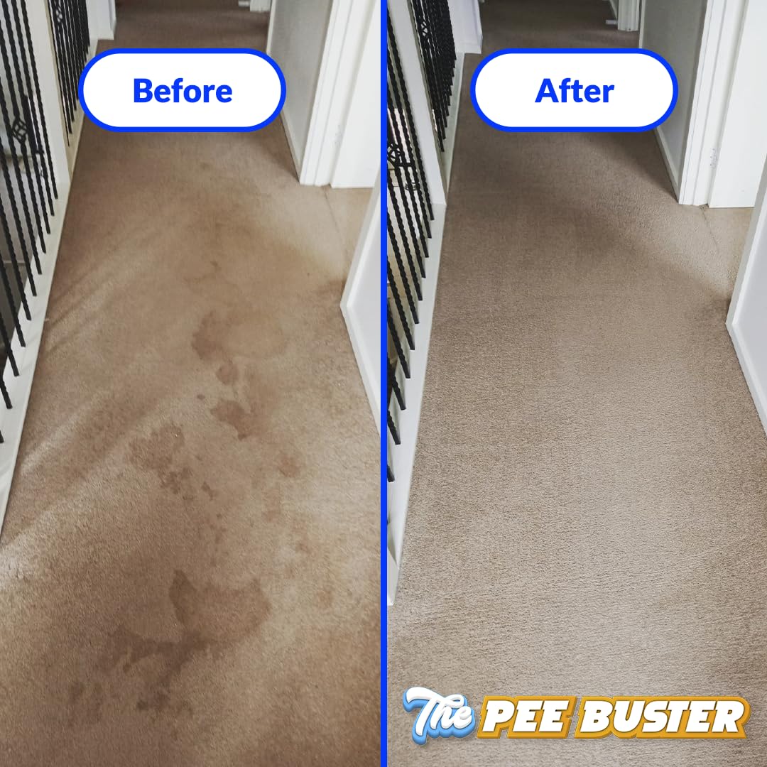 Conjunto Pee Buster: botella recargable y tabletas para varios usos.