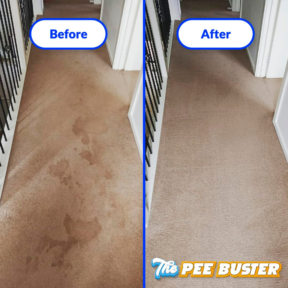 Conjunto Pee Buster: botella recargable y tabletas para varios usos.